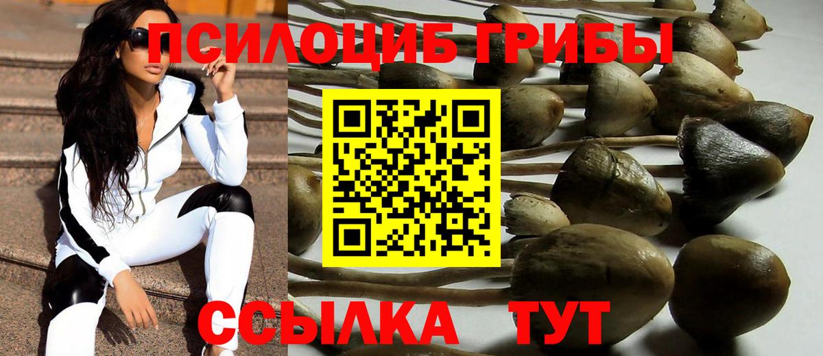 Псилоцибиновые грибы мицелий Заинск
